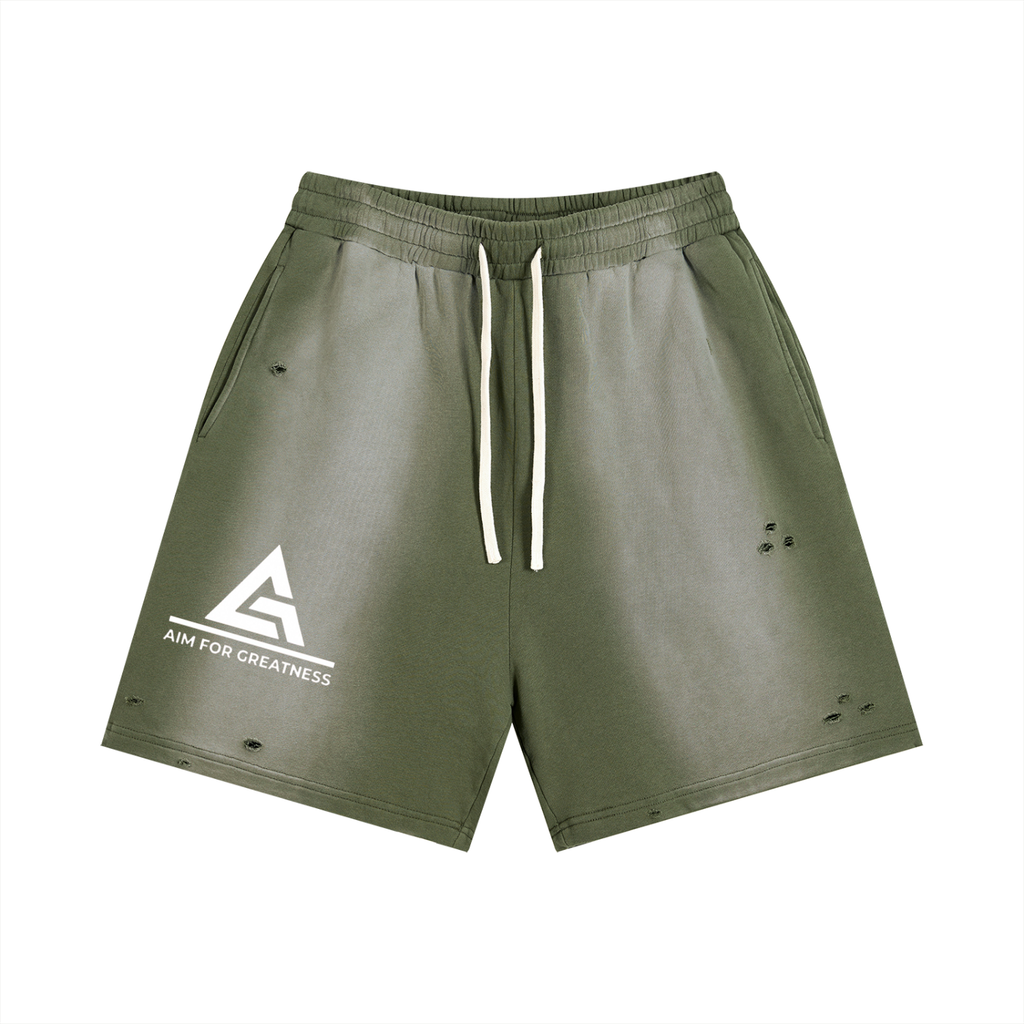 Sun Fade Distressed Shorts