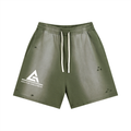Sun Fade Distressed Shorts